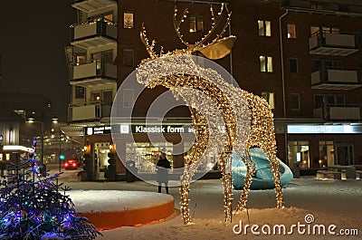 A moose wanders across the square Editorial Stock Photo