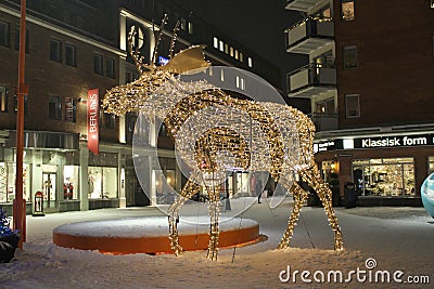 A moose wanders across the square Editorial Stock Photo