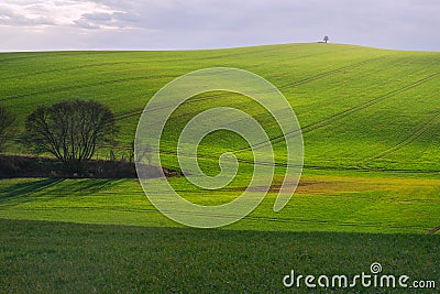 Moravian fields during early spring Stock Photo