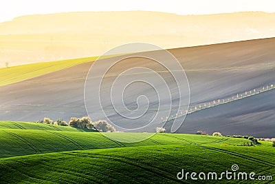 Moravian fields landscape with trees in morning fog. South Moravia, Czech Republic Stock Photo