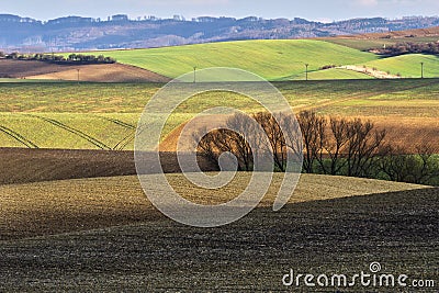 Moravian fields and meadows during early spring Stock Photo