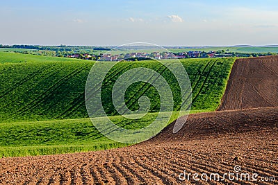 Moravian fields Stock Photo