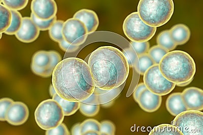 Moraxella catarrhalis bacteria Cartoon Illustration