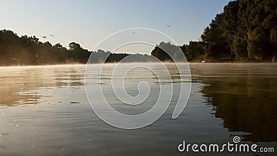 Morgennebel an der Donau Morgennebel an der Donau