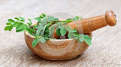 Moringa leaves and mortar pestle Stock Photo