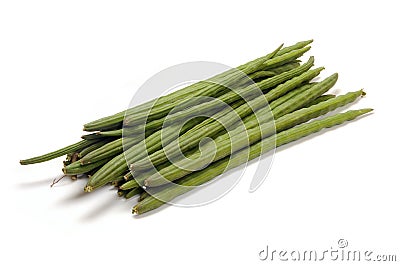 Moringa oleifera Stock Photo