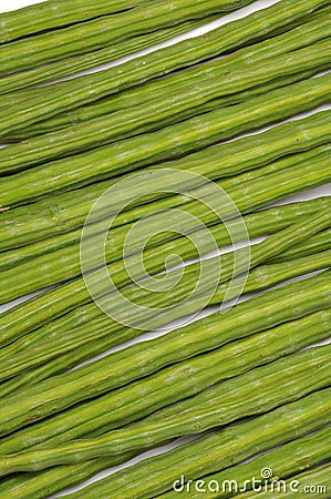 Moringa oleifera background Stock Photo