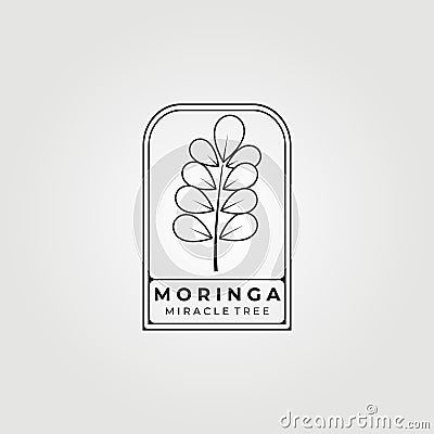 moringa oleifera , miracle tree logo vector illustration design, natural medical , a million benefits Vector Illustration