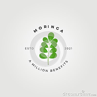 moringa oleifera , miracle tree logo vector illustration design, natural medical , a million benefits Vector Illustration