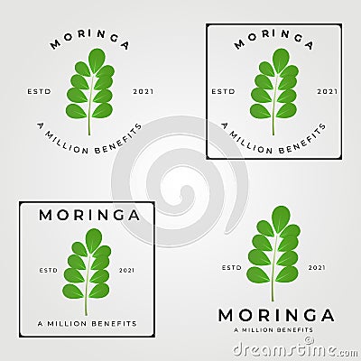 moringa oleifera set logo, miracle tree logo vector illustration design, natural medical , a million benefits Vector Illustration