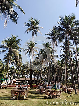 Morjim beach, Goa, India Editorial Stock Photo