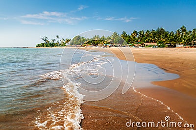 Morjim beach. Wooden fishing boats and palm trees, Goa, India Stock Photo