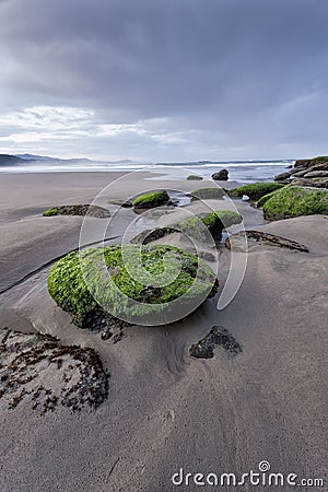 Morning at the beach. Stock Photo