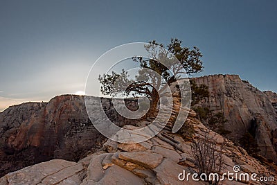 Morning Breaks Over the Canyon Stock Photo