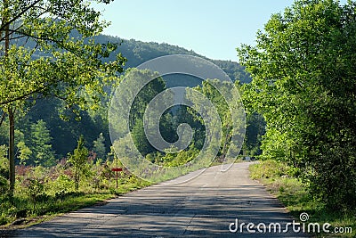 Morning Country Road, Serbia Stock Photo