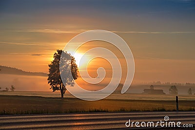 Morning dawning sun over hazy field and country road Stock Photo