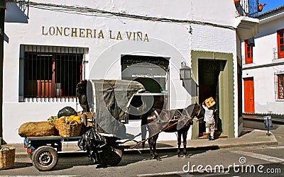 Morning delivery by horse cart, Popayan Editorial Stock Photo