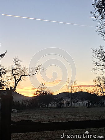 Morning Flights Stock Photo