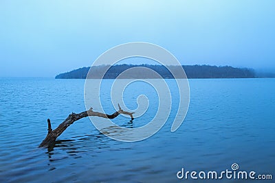 Morning Fog at a Lake Stock Photo