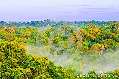 Morning fog over rain forest in Colombia Stock Photo