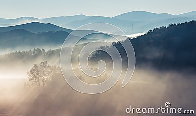 Morning fog Stock Photo