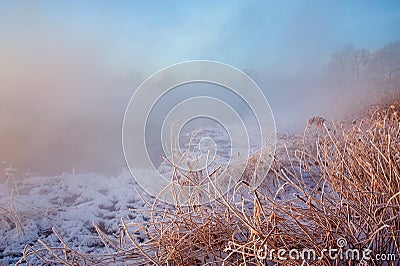 The morning fog and reeds sunrise Stock Photo