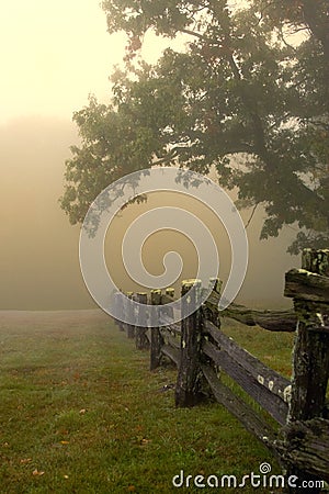 Morning fog on split rail fence Stock Photo