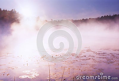 Morning fog on wild forest lake in Karelia Stock Photo