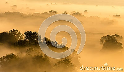 Morning foggy valley at sunrise, yellow calm autumn landscape Stock Photo