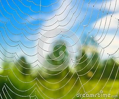 Morning ghosts Stock Photo