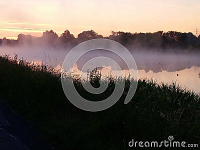 Morning Glory Stock Photo