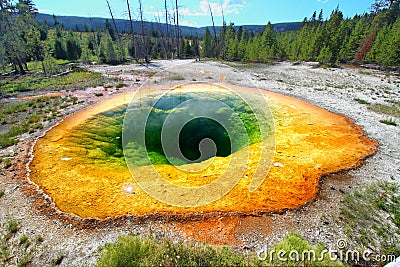 Morning Glory Pool Yellowstone Stock Photo