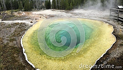 Morning glory pool in Yellowstone National Park in Wyoming Stock Photo