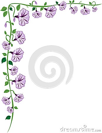 Morning Glory Vine Border, Purple Vector Illustration