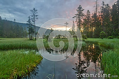 Morning at Great Arber Lake Stock Photo