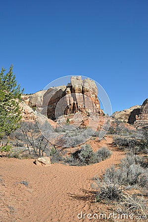 Hiking calf creek falls in escalante utah Stock Photo