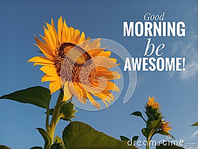 Morning inspirational motivational quote- Good morning, be awesome. With a beautiful smiling sunflower blossom and blue sky Stock Photo