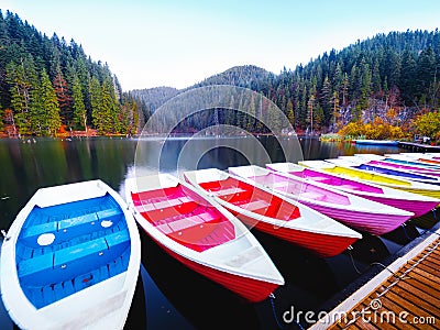 Morning on Lacul Rosu or Red Lake located in Harghita County, Romania, Europe Stock Photo