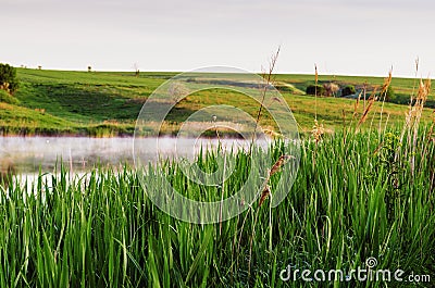 Morning landscape with misty lake and bird on grass Stock Photo