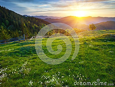 Morning Landscape Stock Photo