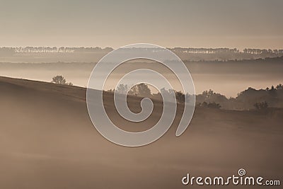 Morning landscape in summer Stock Photo