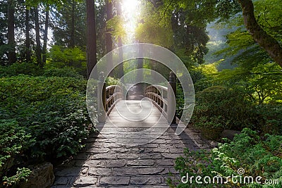 Morning Light on the Bridge Stock Photo