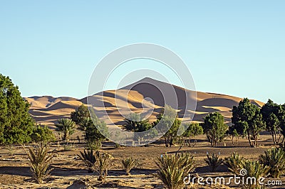 Morning light on Erg Chebbi, Merzouga, Morocco Stock Photo