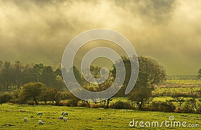 Morning mist, Caton Lancashire Stock Photo