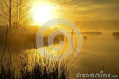 Morning mist on the lake in the sun Stock Photo