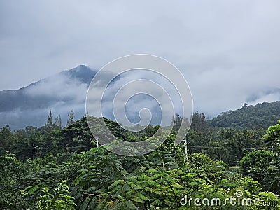 Morning mist, Suan Phueng Stock Photo