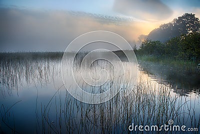 Morning mist at sunrise Stock Photo