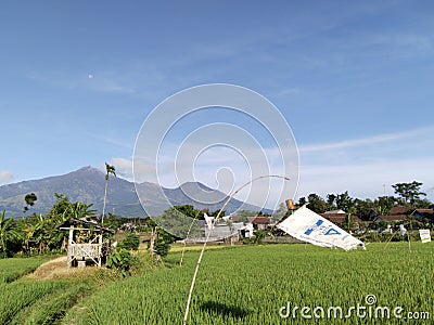 Morning Mountain Arjuna village farm Editorial Stock Photo