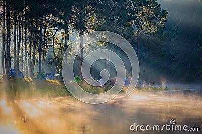 In the morning, Pang Ung Forestry Plantations, Maehongson. Stock Photo