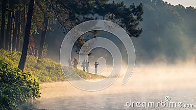 This morning at Pang Ung Forestry Plantations in winter . Stock Photo